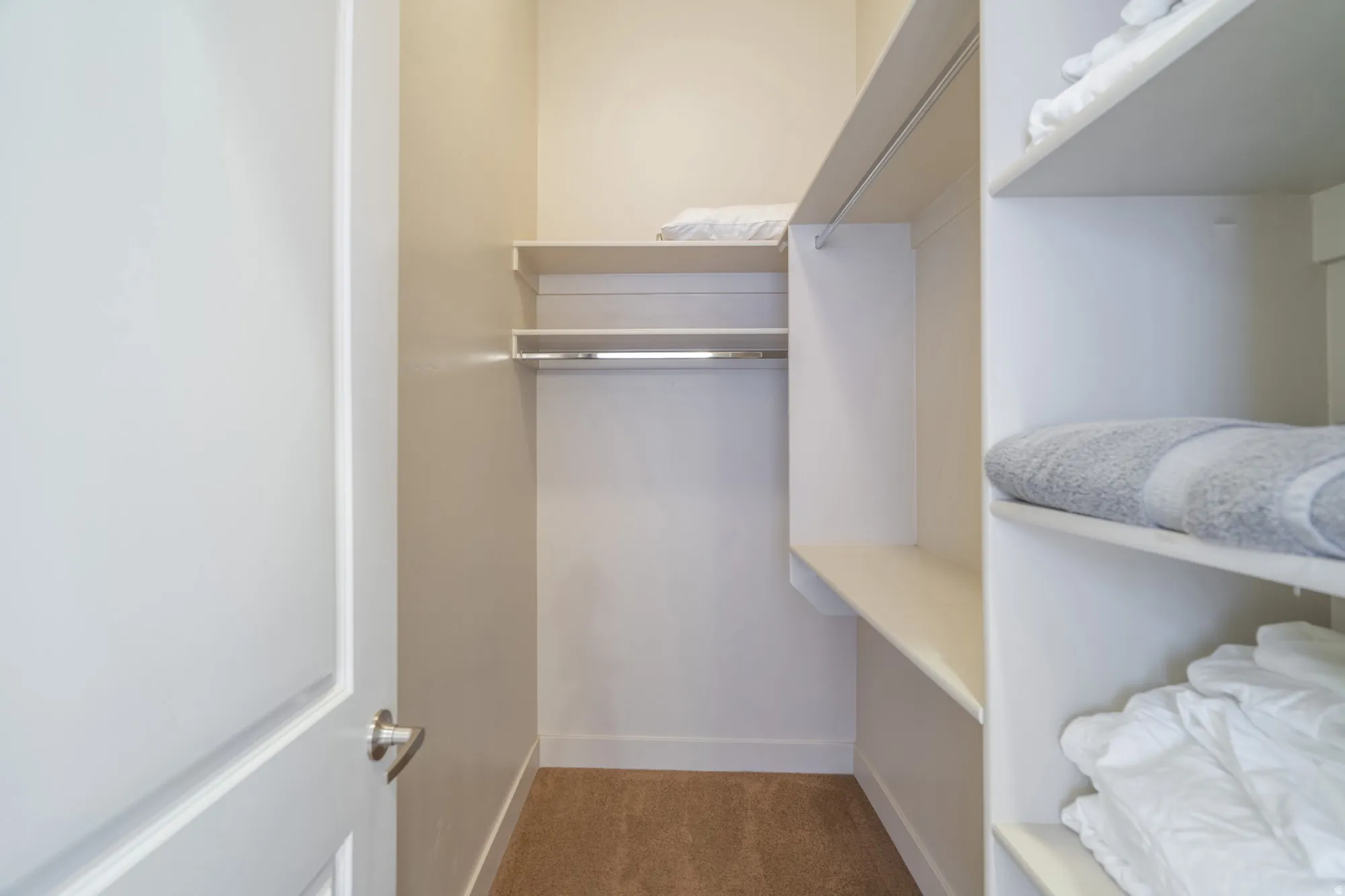 Walk-in closet featuring built-in shelving, hanging rods, and light-toned carpeting