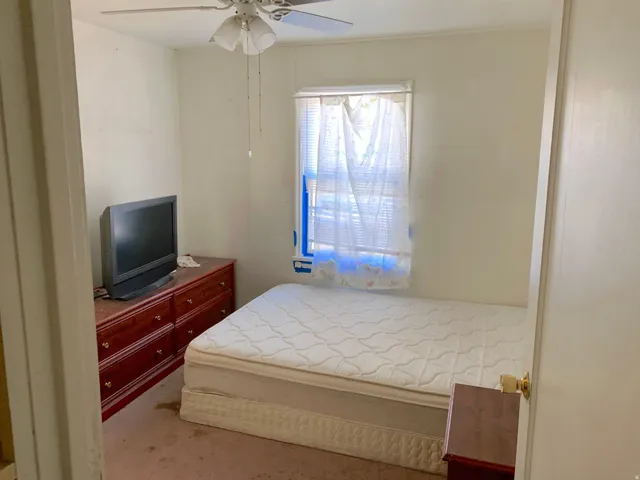 Bedroom featuring a ceiling fan with integrated lighting, a single window with blinds, and light-toned walls