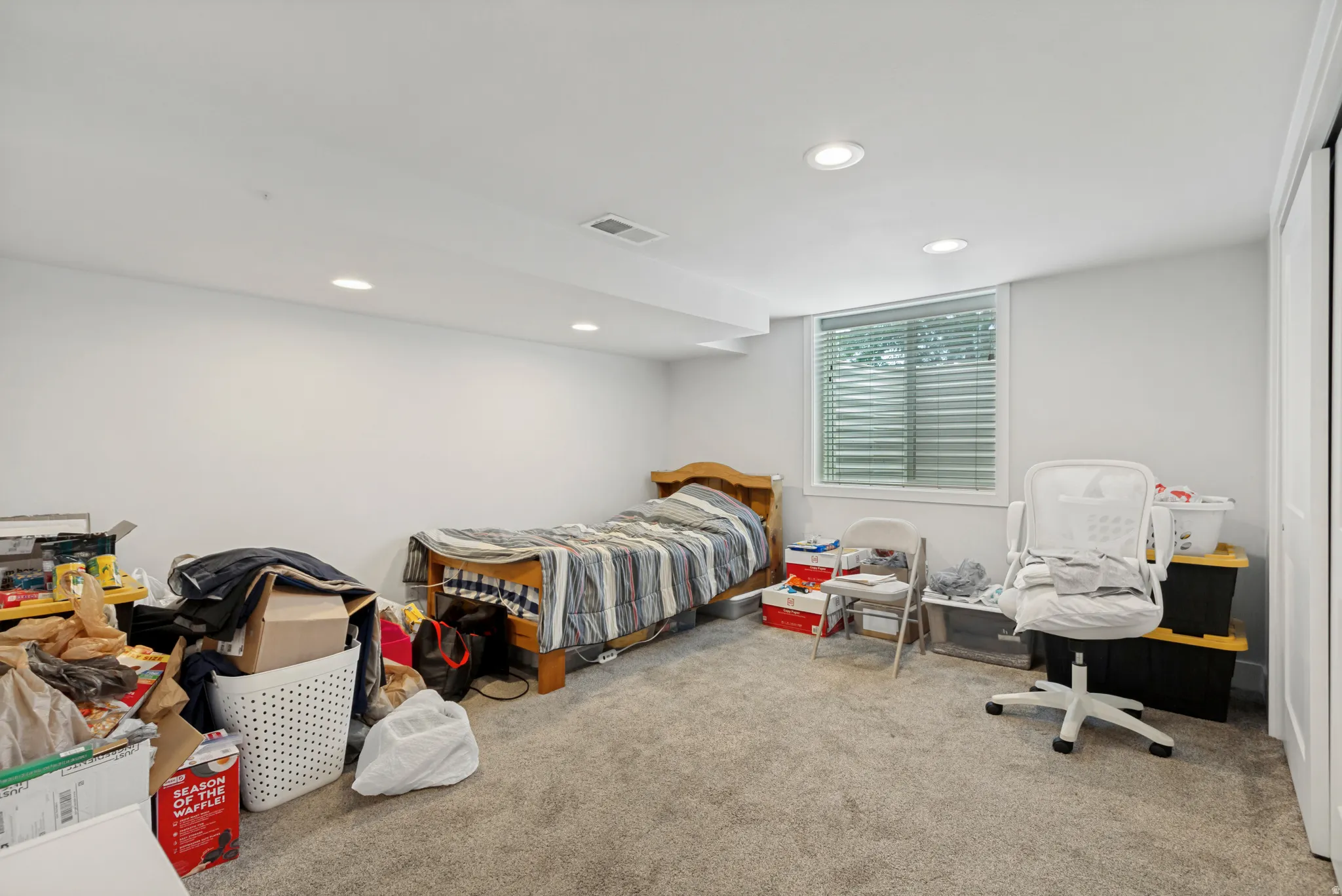 Basement Primary Bedroom