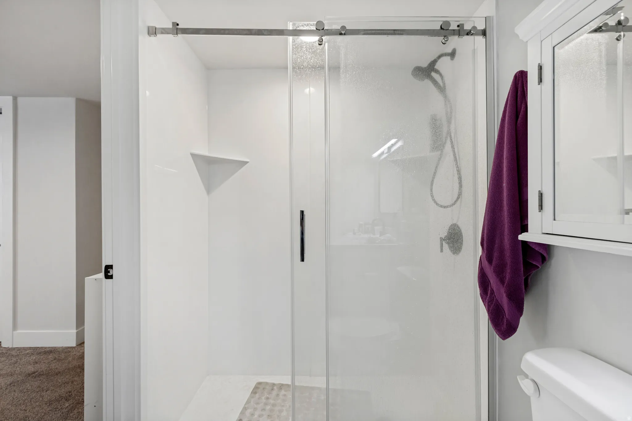 Basement Primary Bedroom Ensuite Bathroom