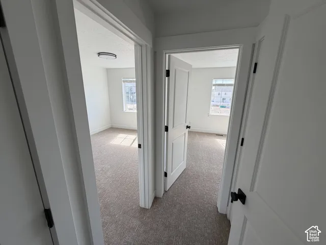 Two rooms featuring neutral carpeting, white interior doors with black hardware, and windows providing ambient illumination