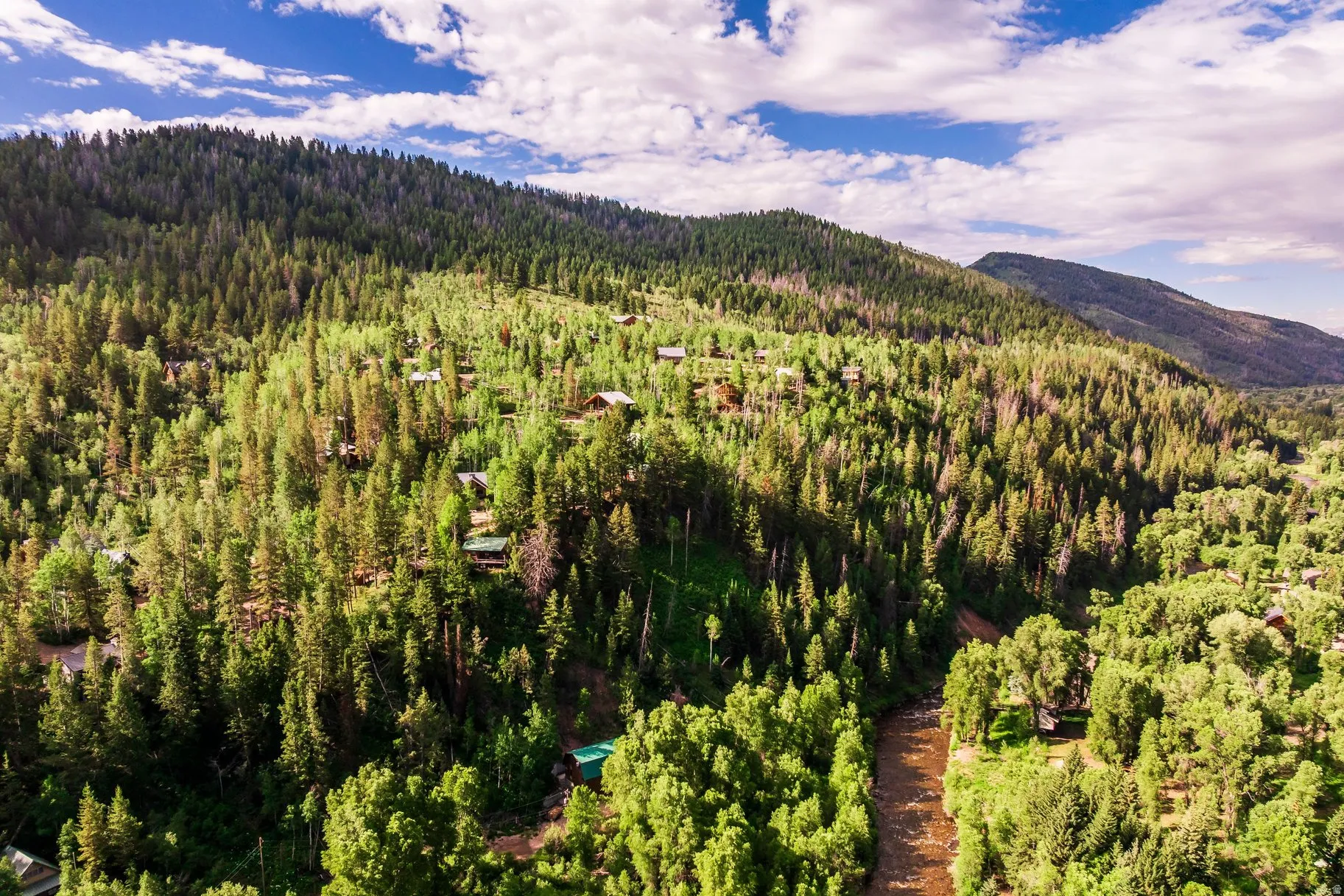 Expansive forested landscape featuring a winding river and scattered residential structures