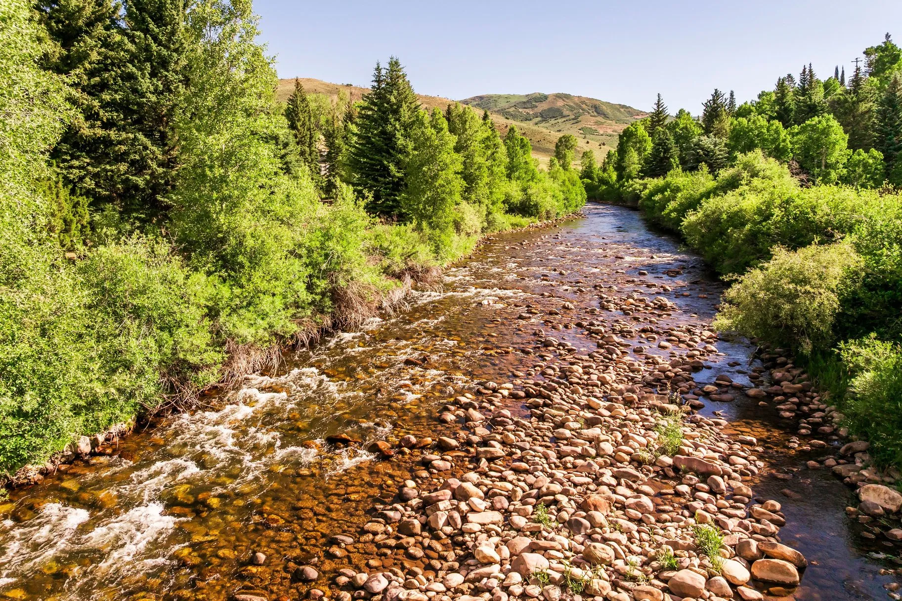 Scenic river with clear water and a rocky bed, bordered by lush green foliage and mature trees