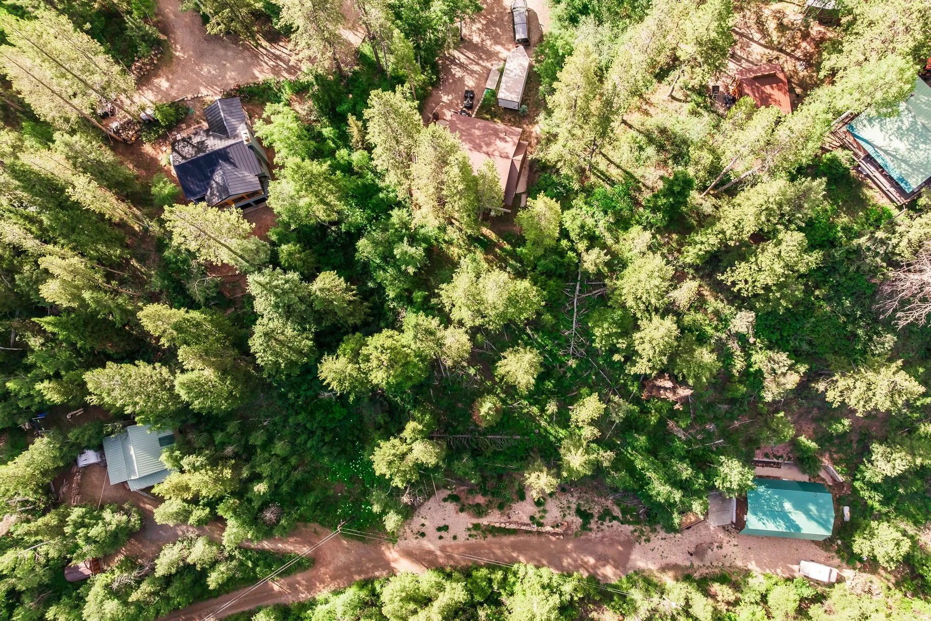 Heavily wooded acreage featuring several structures with dark and light-colored roofing