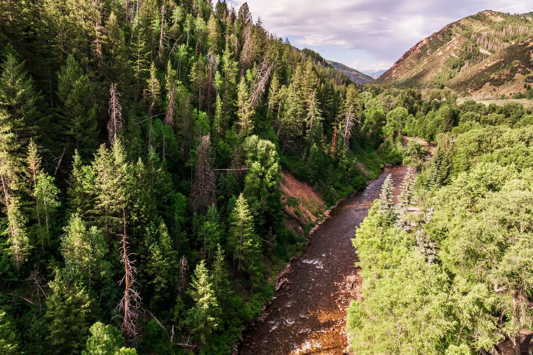 Mountain valley featuring dense evergreen and deciduous trees, a meandering river, and distant hills