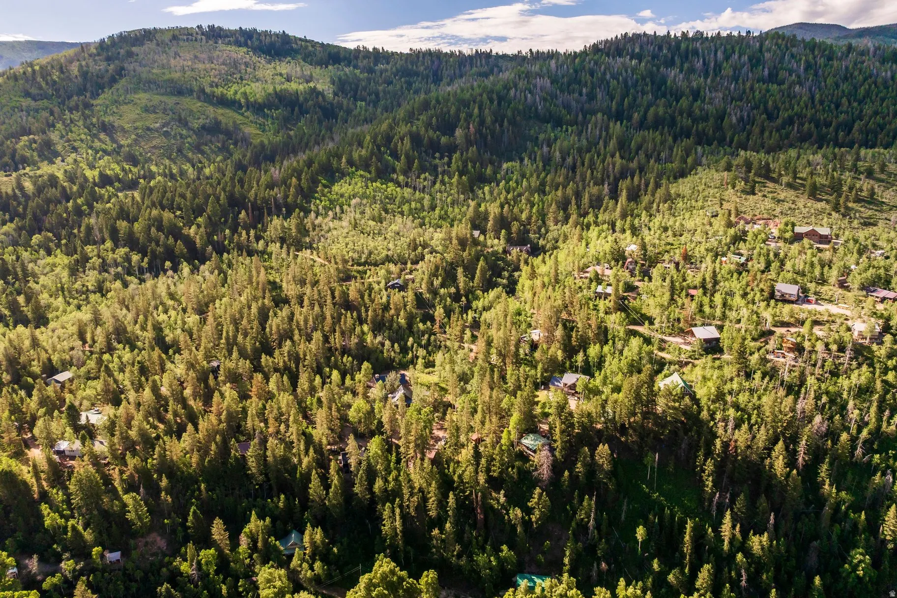 Mountainous landscape featuring dense evergreen and deciduous trees