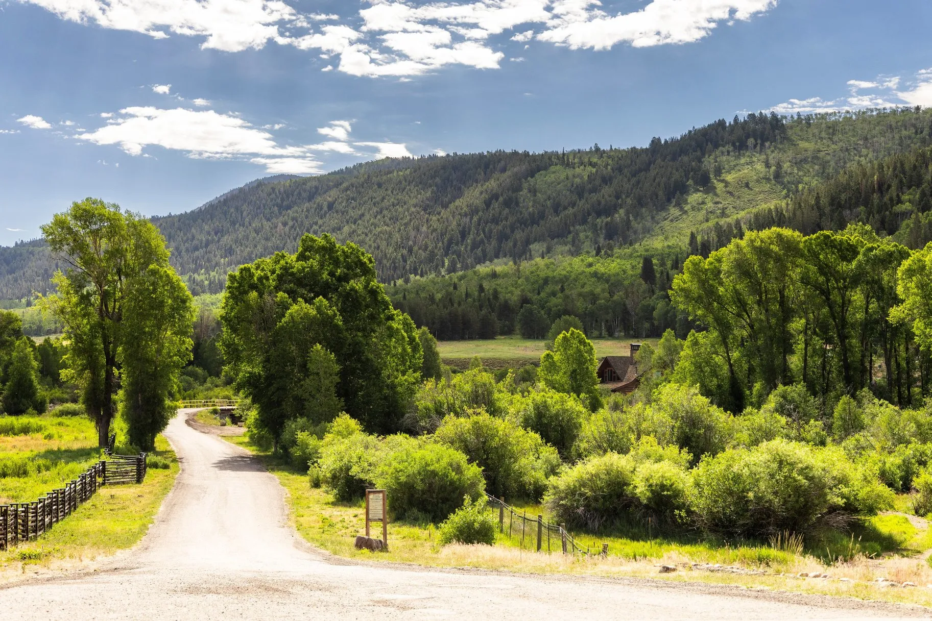 Gravel drive leading to a rustic cabin nestled within lush green foliage