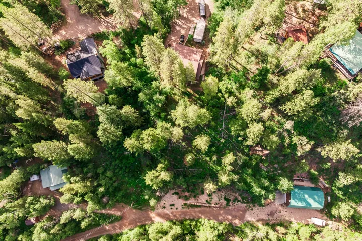 Heavily wooded acreage featuring several structures with dark and light-colored roofing