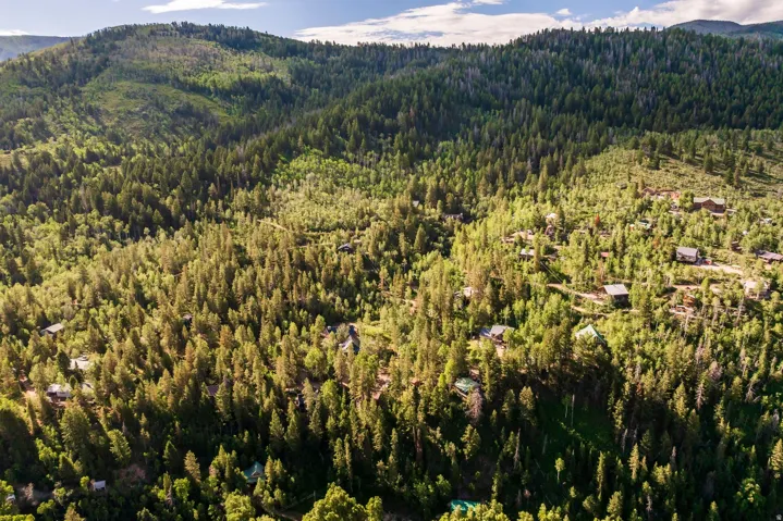 Mountainous landscape featuring dense evergreen and deciduous trees