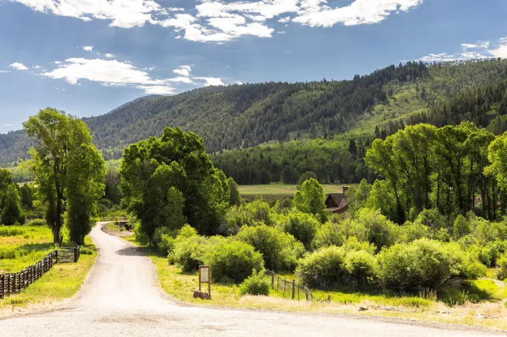 Gravel drive leading to a rustic cabin nestled within lush green foliage
