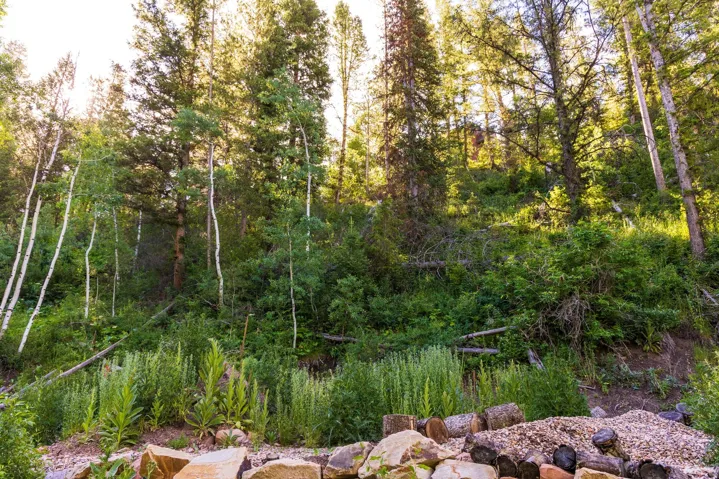 Mature trees and varied foliage create a natural setting