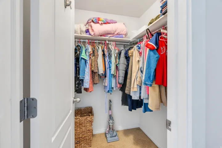 White-painted closet featuring carpet flooring, built-in shelving, and clothes hanging rods
