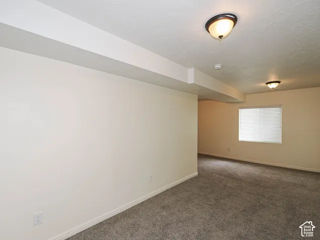 Neutral wall paint, textured ceiling, flush-mount lighting, horizontal window blinds, and carpet flooring