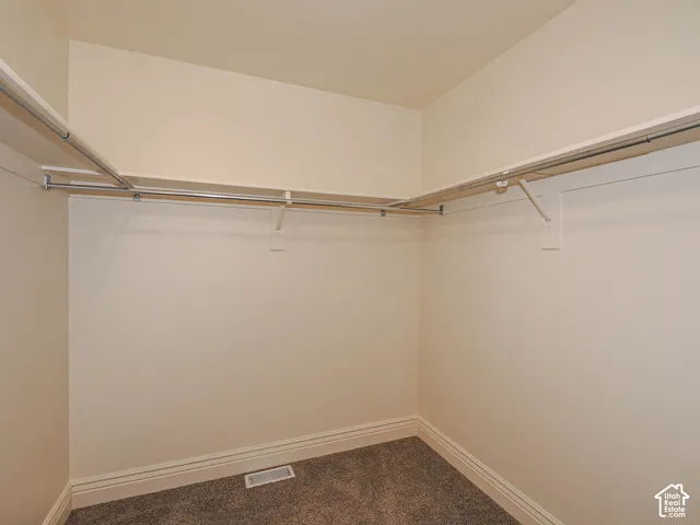 Walk-in closet with carpet flooring, light-toned walls, and a built-in shelving system with hanging rods