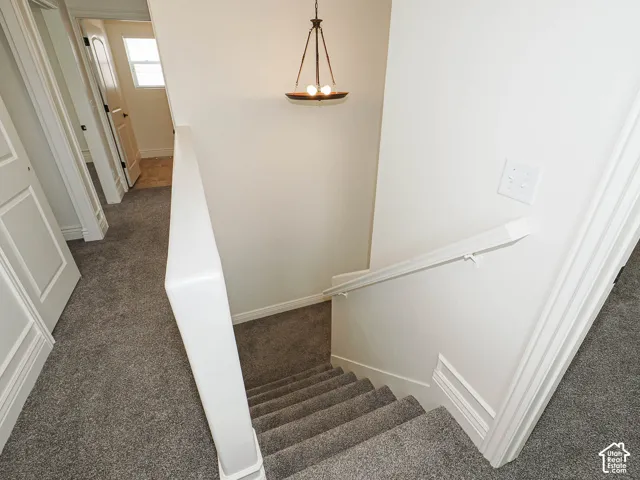 Carpeted staircase with a white handrail