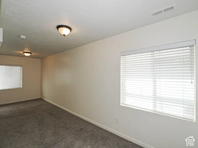 Wall-to-wall carpeting and two windows with blinds