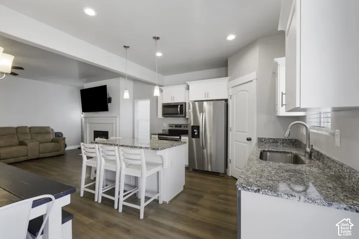 Open-concept kitchen and living area featuring wood-finish flooring