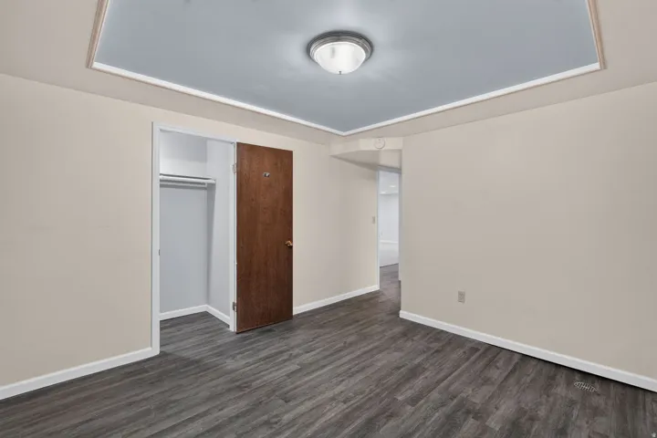 Room featuring wood-finish flooring, light-toned walls, and a tray ceiling with a central flush-mount light fixture