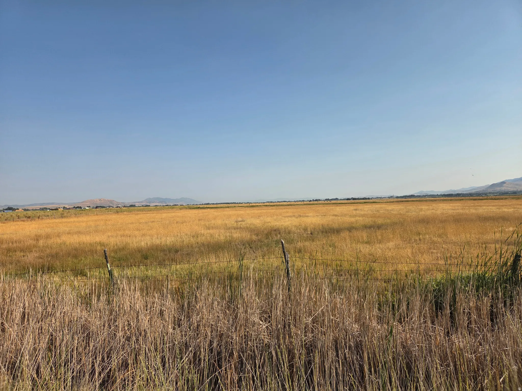 Expansive rural acreage featuring golden fields and distant mountains under a clear sky