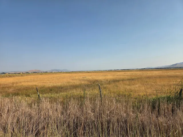 Expansive rural acreage featuring golden fields and distant mountains under a clear sky