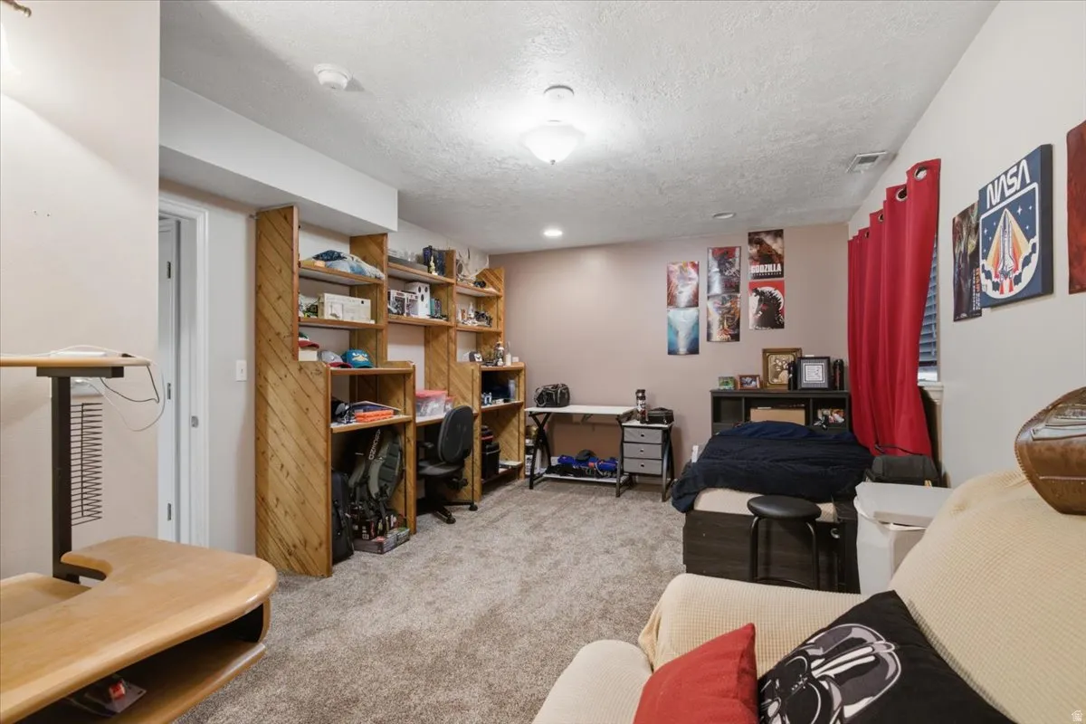 Carpeted room featuring extensive built-in shelving, a neutral wall color, and a ceiling light fixture