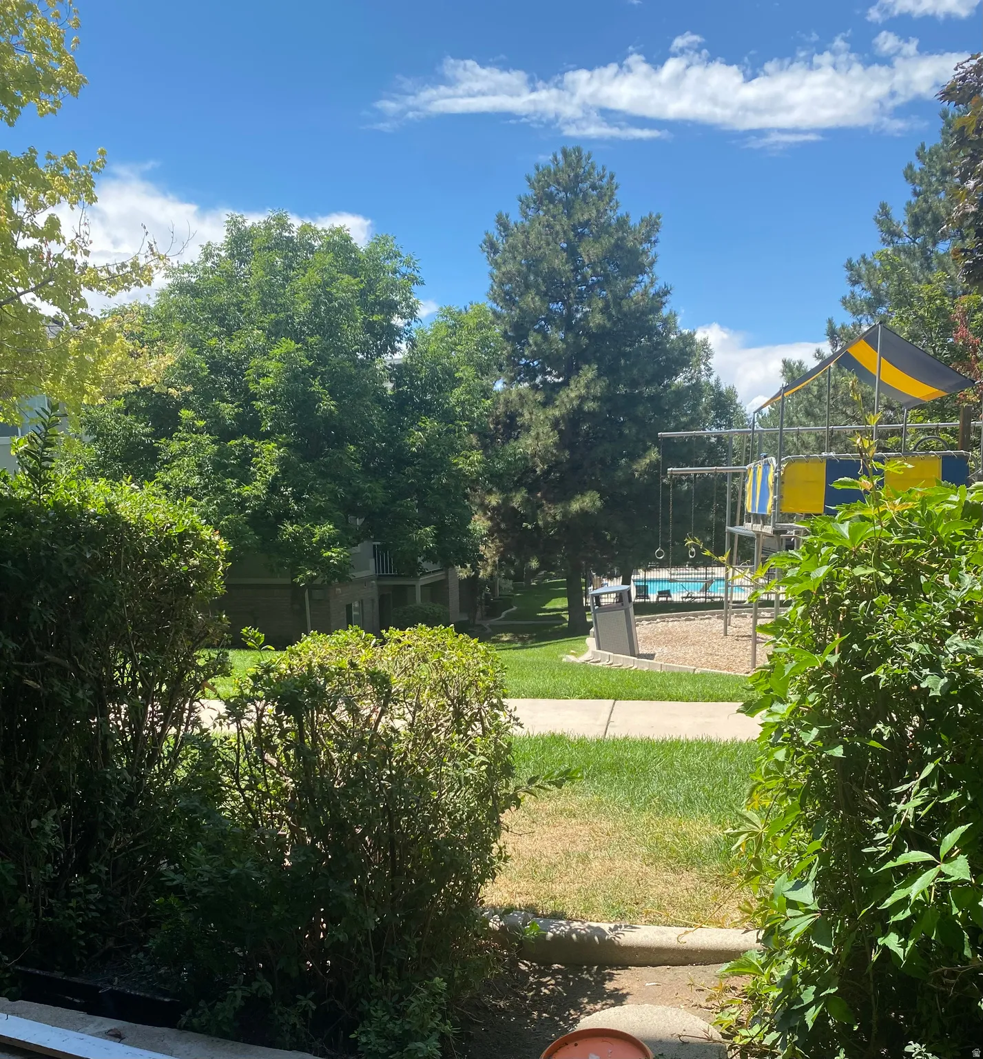 Community amenities featuring a playground structure with a shade canopy, a swimming pool, and mature trees