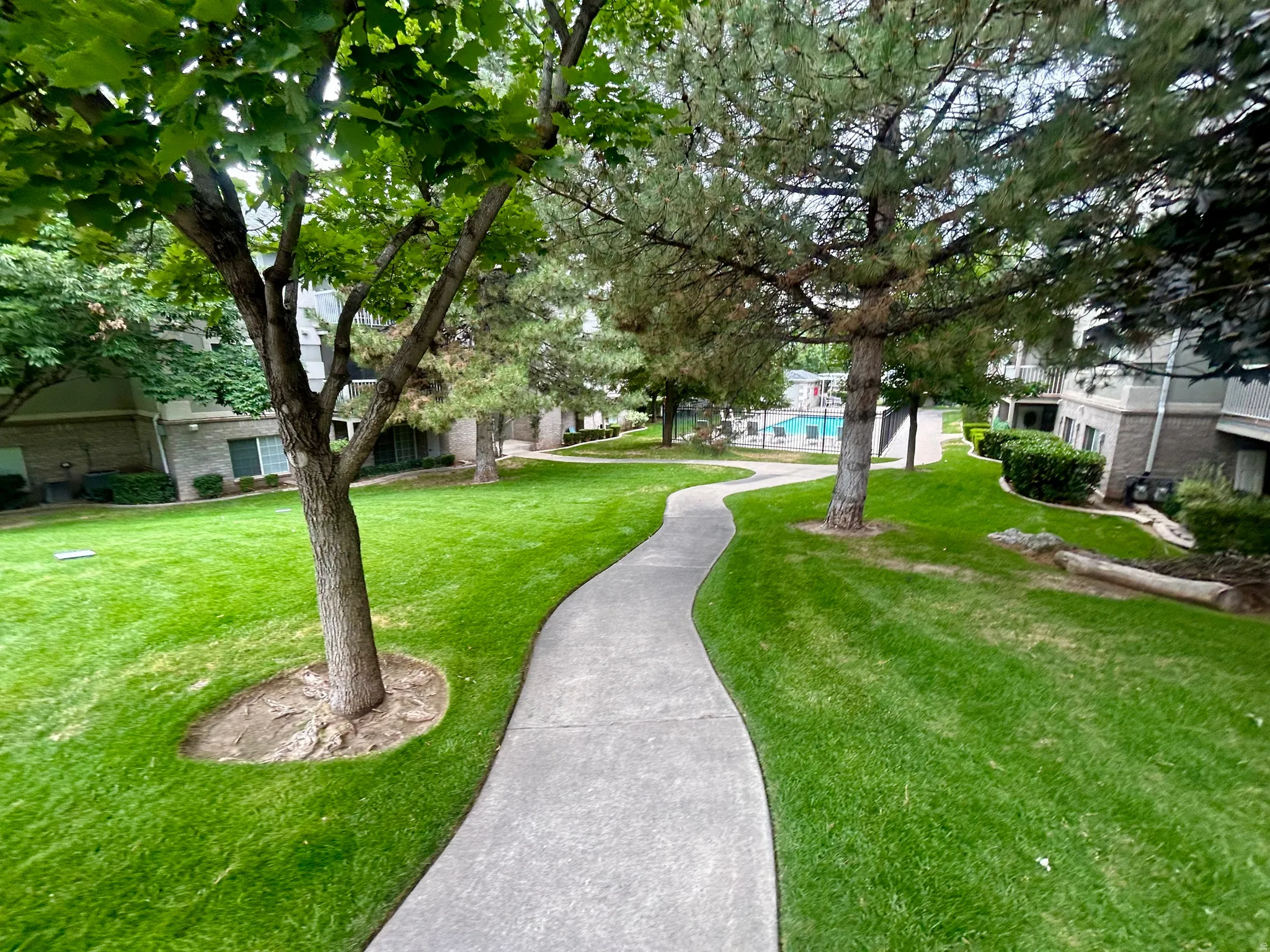 Meandering concrete pathway surrounded by expansive green lawn