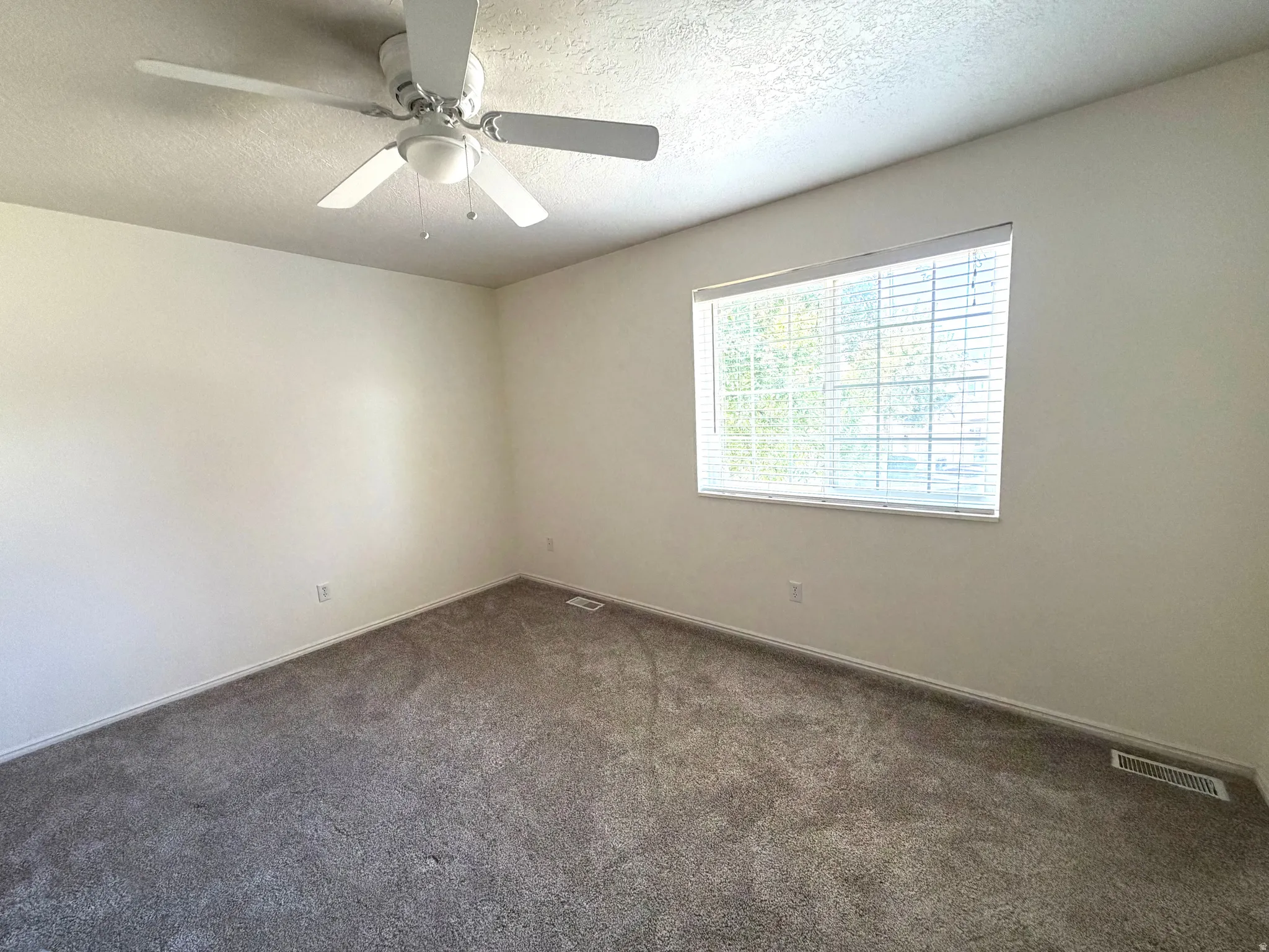 Neutral-toned walls complement the gray carpeting