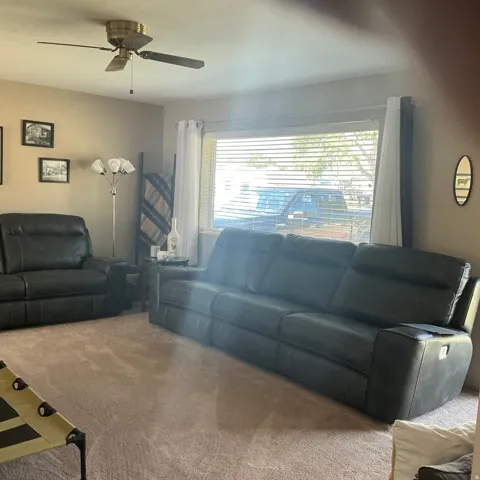 Living area featuring a textured carpet, a large window with horizontal blinds, and a brass-finish ceiling fan