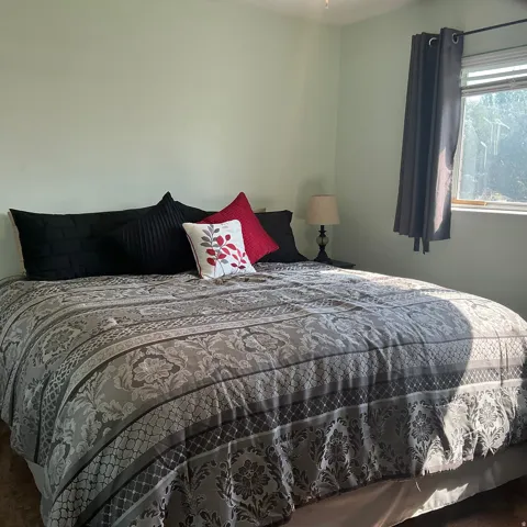 Bedroom featuring light green wall paint, a window with dark curtain panels, and a ceiling fan