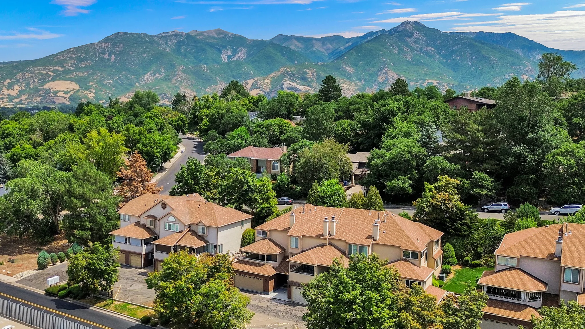 Aerial perspective showcasing multiple properties amidst mature trees and a prominent mountain range backdrop