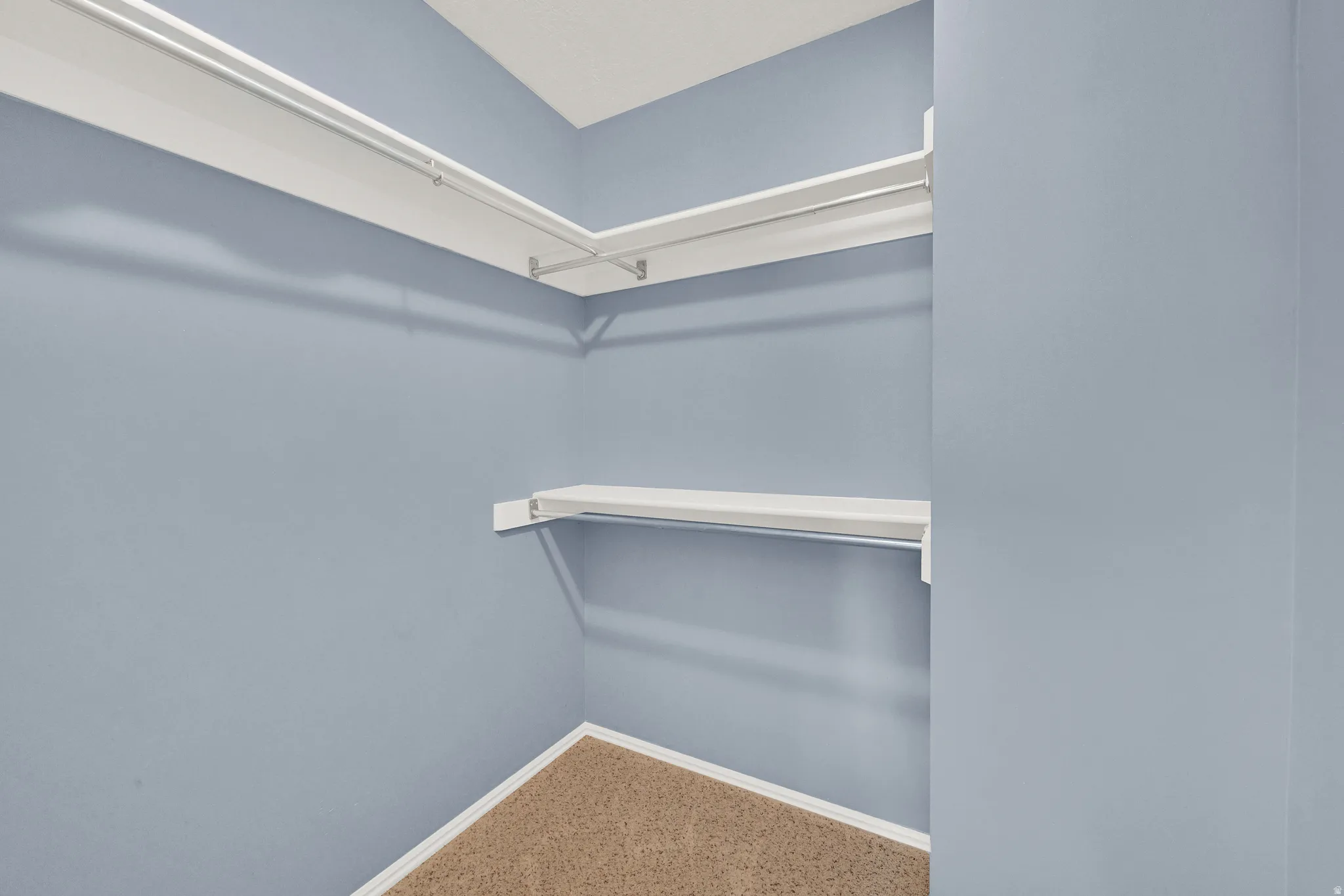 Walk-in closet featuring light blue walls, white trim, and light brown carpeting