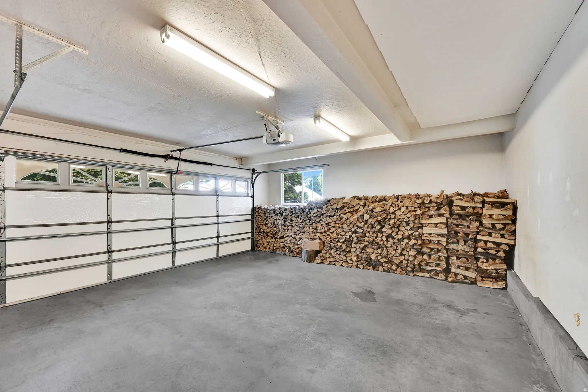 Spacious garage featuring a concrete floor, overhead fluorescent lighting, and a white paneled garage door with upper-row windows