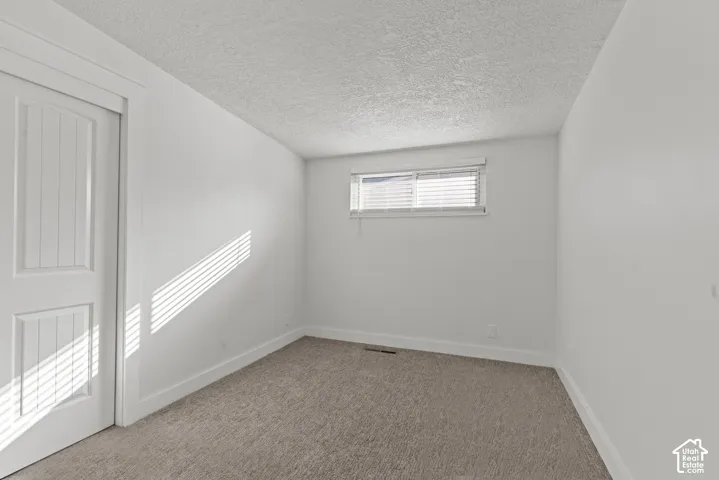 Neutral-toned carpeting, two-panel interior door with casing, and a horizontally oriented window with integrated blinds