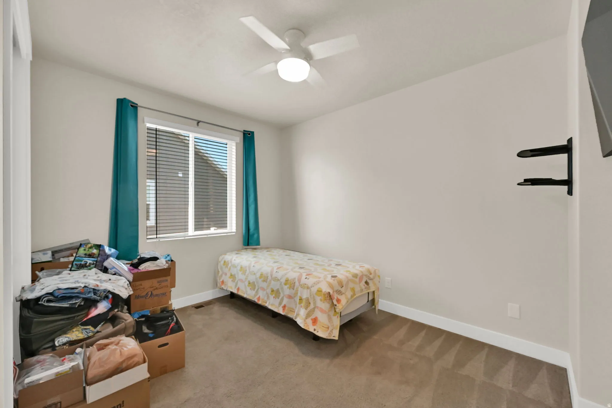 Neutral tone walls with white trim, a ceiling fan, and carpeted flooring