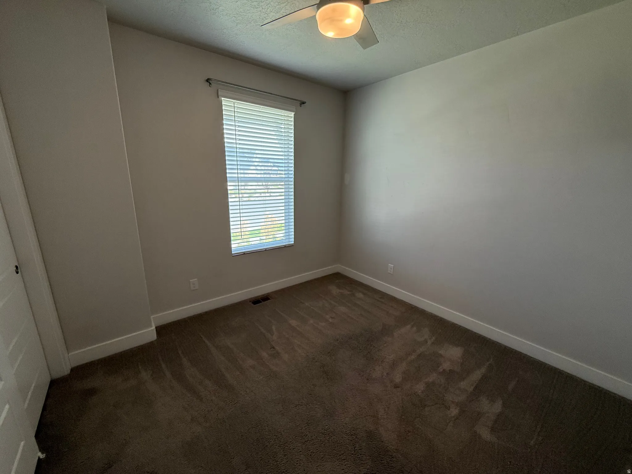 Neutral-toned walls complement the brown carpet flooring