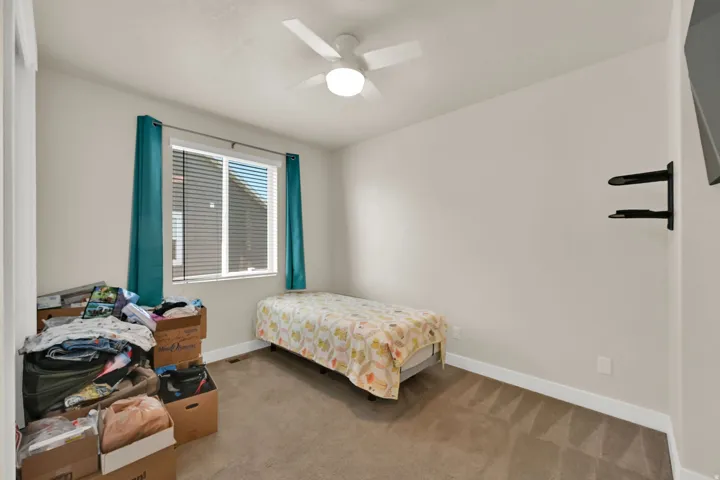 Neutral tone walls with white trim, a ceiling fan, and carpeted flooring