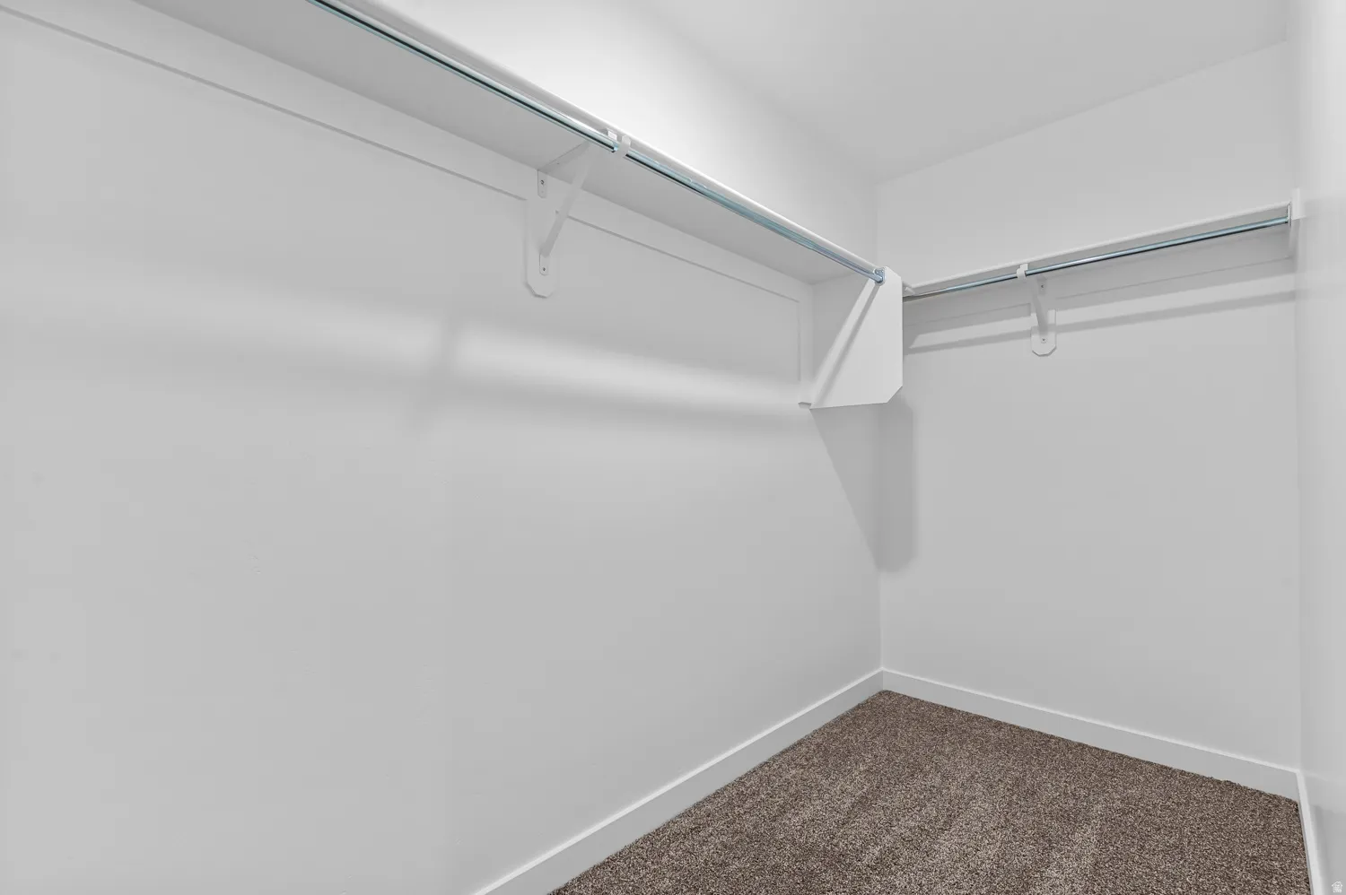 Walk-in closet featuring white walls, white shelving, metal hanging rods, and dark brown carpeting