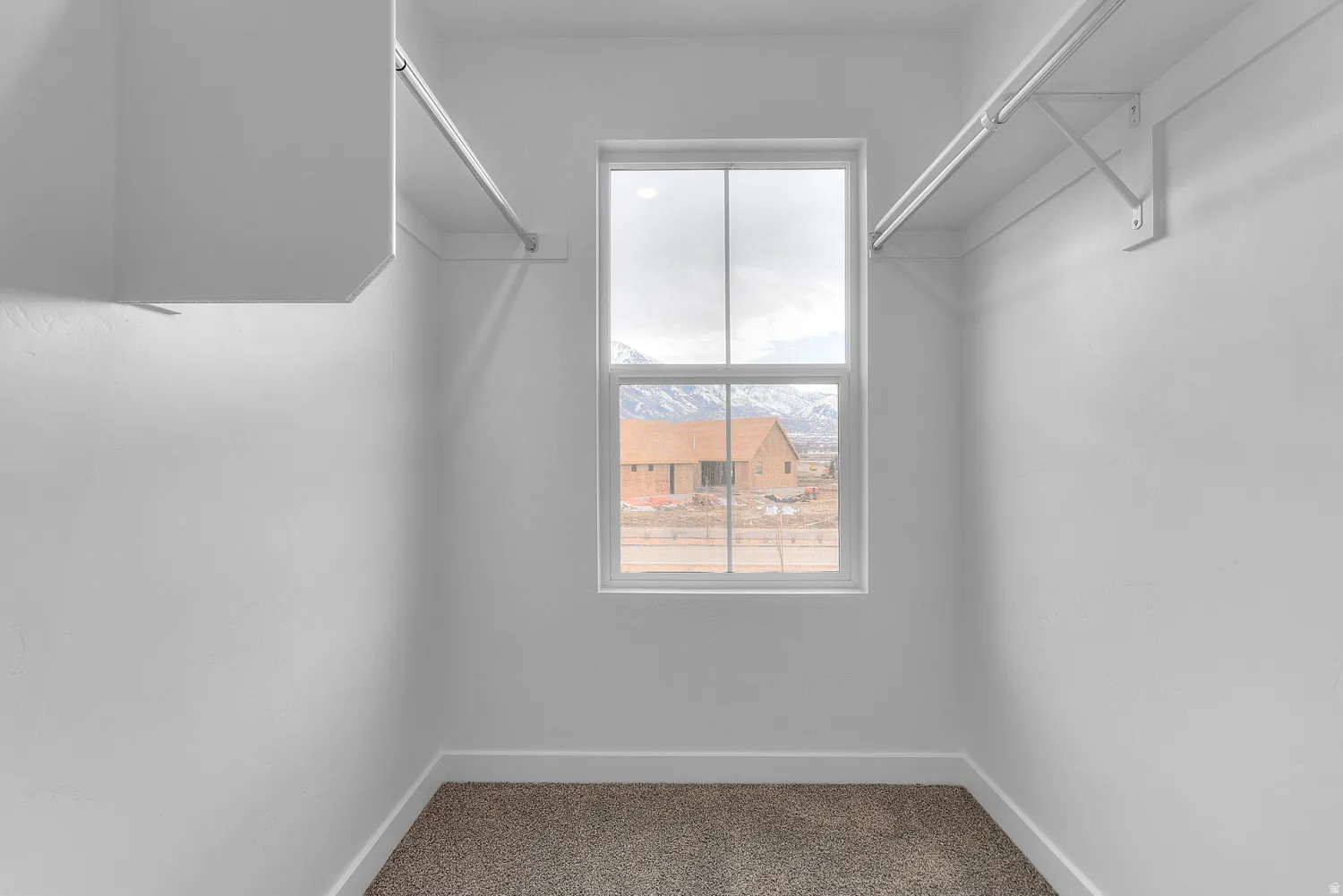 Walk-in closet featuring a large window, built-in shelving, dual hanging rods, and carpet flooring