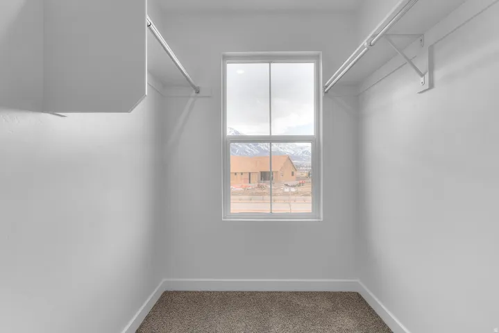 Walk-in closet featuring a large window, built-in shelving, dual hanging rods, and carpet flooring
