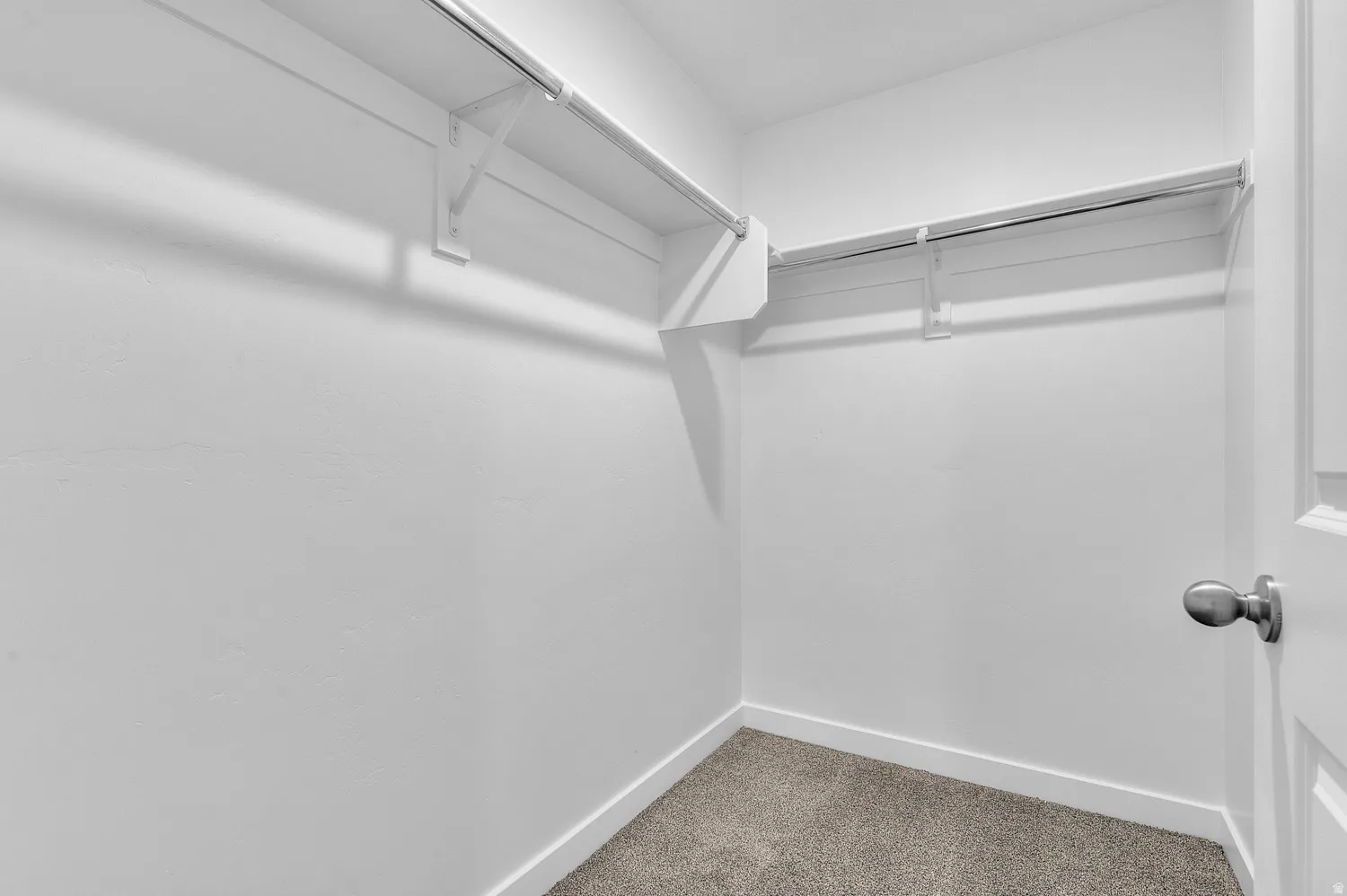 Walk-in closet featuring white walls, white trim, and gray carpet flooring