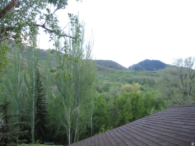 View across the road from East Duplex Master Bedroom