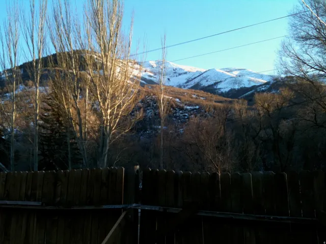 View of Perkins Peak from West Duplex yard