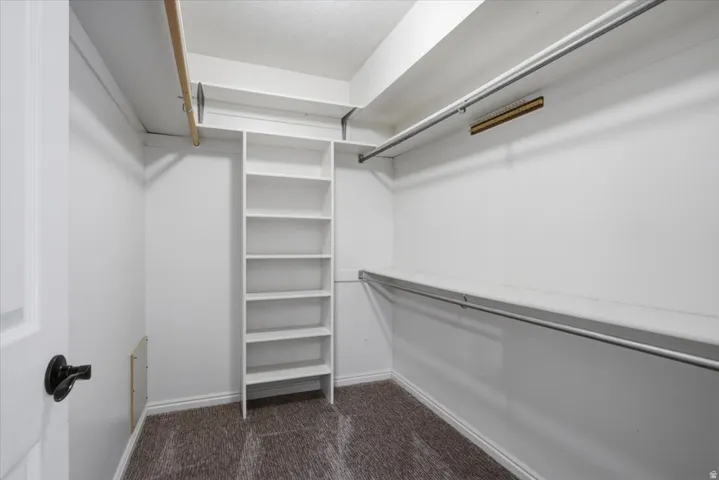 Walk-in closet featuring built-in shelving, multiple hanging rods, overhead storage, and carpet flooring