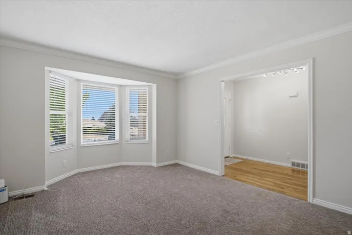 Carpeted room with a bay window featuring three individual windows with blinds, crown molding, and a wide entryway leading to a space with wood-finish flooring