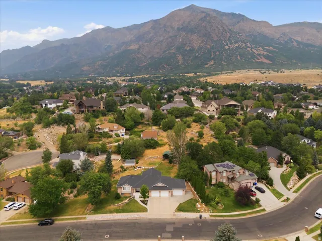 Aerial perspective showcasing a residential neighborhood with varied architectural styles and mature landscaping
