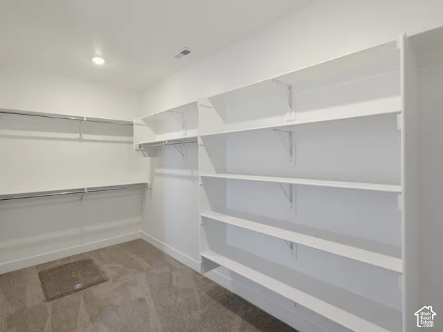 Walk-in closet featuring floor-to-ceiling built-in shelving, multi-level hanging rods, and neutral carpeting