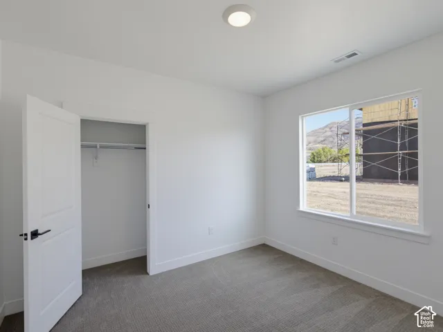Neutral-toned carpeting, minimalist interior finishes, closet with built-in shelving, large sliding window, and flush-mount ceiling lighting