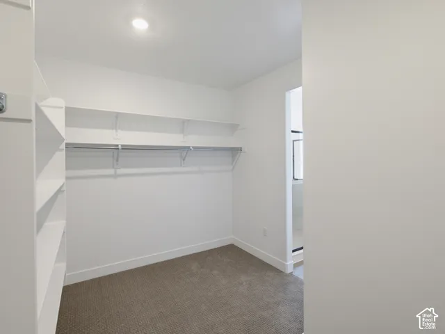 Walk-in closet featuring wall-to-wall carpeting, recessed ceiling lighting, and built-in shelving with integrated hanging rods