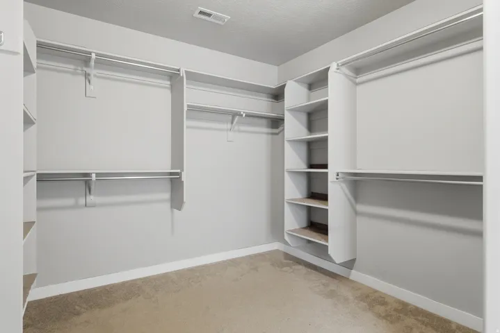 Carpeted closet featuring extensive built-in shelving, multiple hanging rods, white trim, and light gray walls